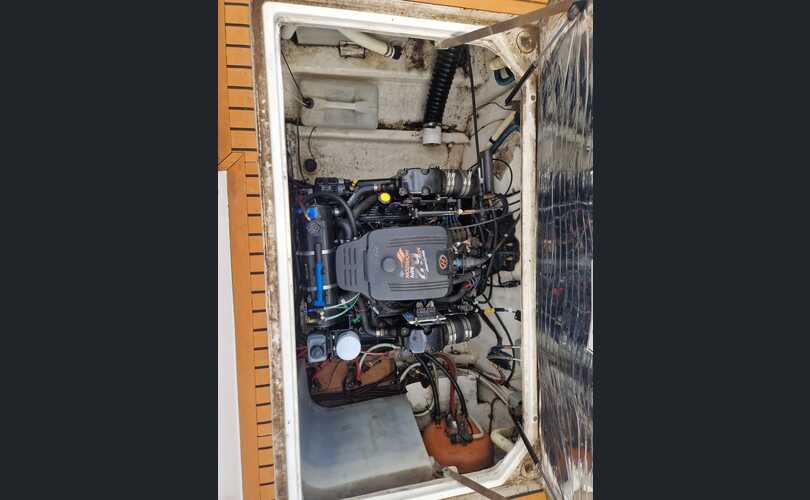 Bayliner 2850 Contessa Sunbridge-kuva-18